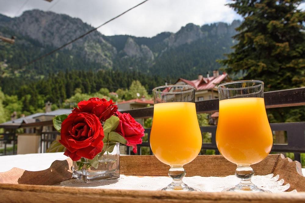 Mikri Arktos Hotel Elati  Bagian luar foto